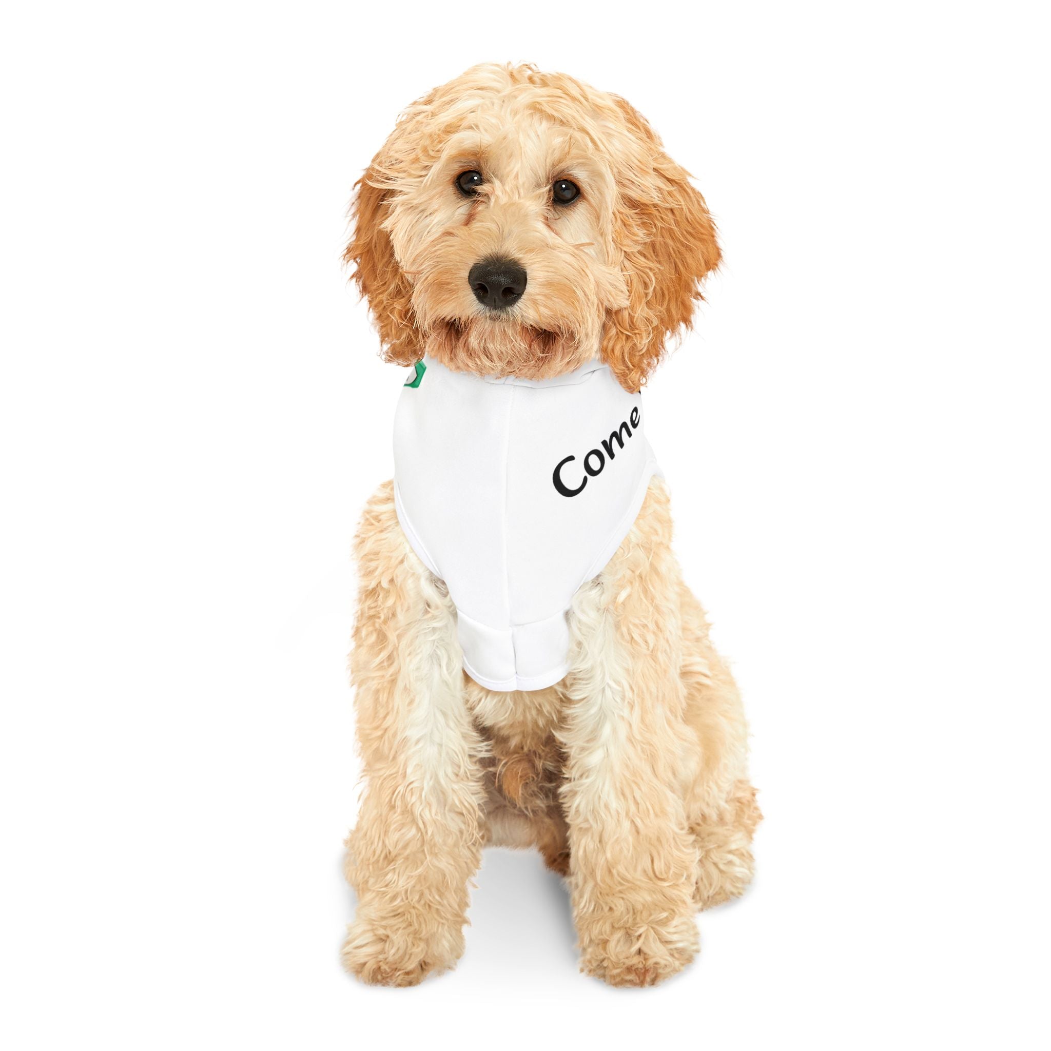 Cute Pet Hoodie, Cozy Dog Hoodie, Fashionable Cat Clothes, Funny Pet Apparel, Dog Outfit for Events