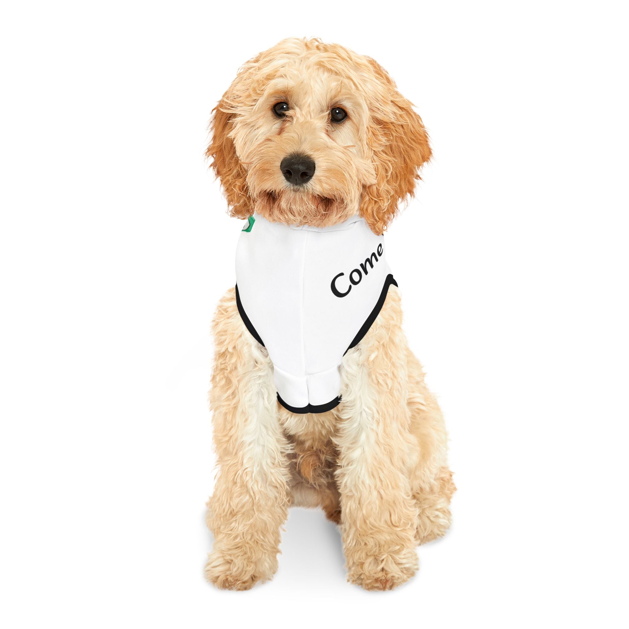 Cute Pet Hoodie, Cozy Dog Hoodie, Fashionable Cat Clothes, Funny Pet Apparel, Dog Outfit for Events